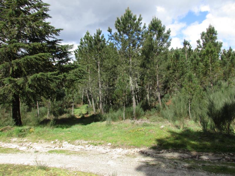 Lote  Vila Nova de Paiva, Vila Nova de Paiva, Alhais e Fráguas - 730665 - 2