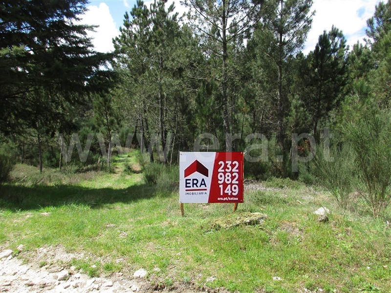 Lote / Vila Nova de Paiva, Vila Nova de Paiva, Alhais e Fráguas
