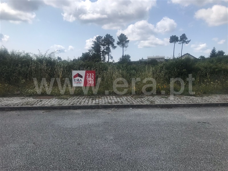 Lote / Vila Nova de Paiva, Vila Nova de Paiva