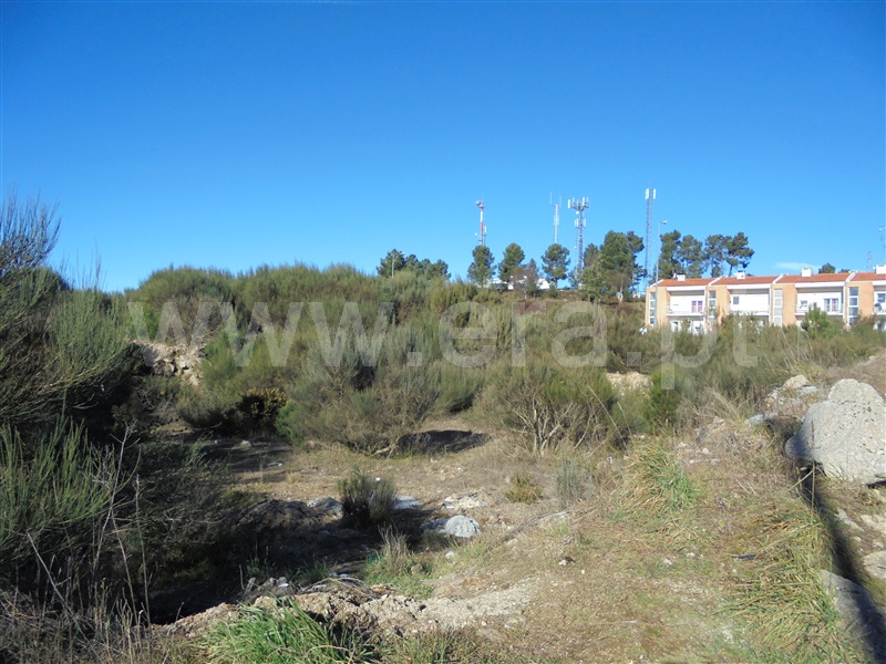 Lote  Vila Nova de Paiva, Vila Nova de Paiva - 666456 - 3