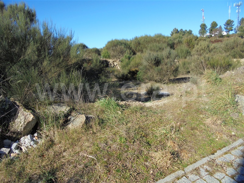 Lote  Vila Nova de Paiva, Vila Nova de Paiva - 666456 - 4
