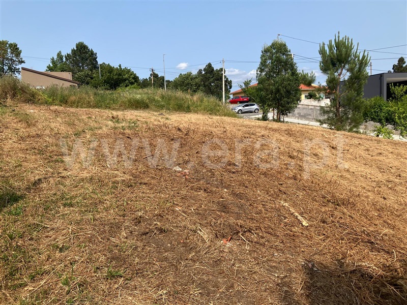 Lote / Vila Verde, Esqueiros, Nevogilde e Travassós