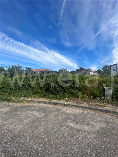 Lote / Vila Verde, Freiriz