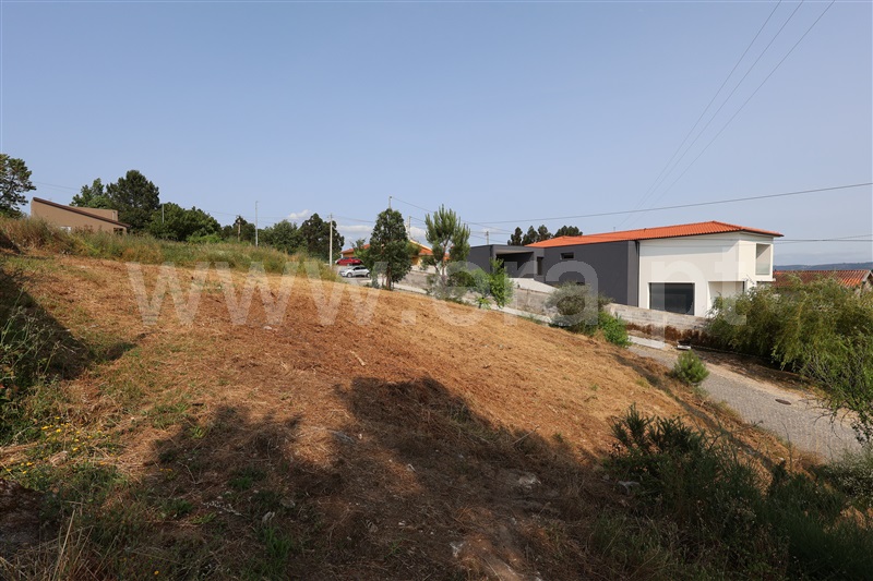 Lote  Vila Verde, Esqueiros, Nevogilde e Travassós - 1486273 - 2