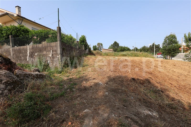 Lote  Vila Verde, Esqueiros, Nevogilde e Travassós - 1486273 - 3