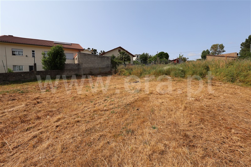 Lote  Vila Verde, Esqueiros, Nevogilde e Travassós - 1486273 - 4