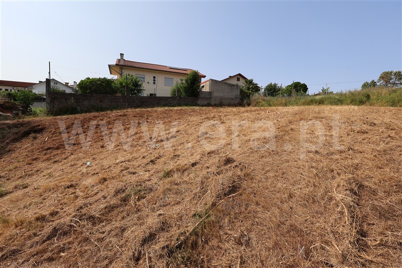Lote  Vila Verde, Esqueiros, Nevogilde e Travassós - 1486273 - 5
