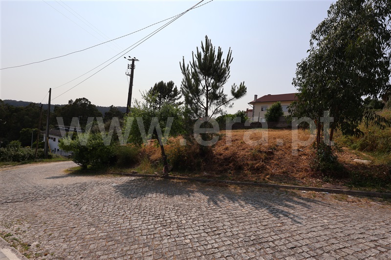 Lote  Vila Verde, Esqueiros, Nevogilde e Travassós - 1486273 - 6
