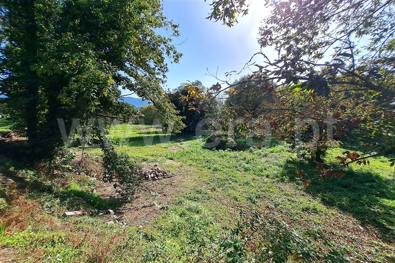 Lote  Vila Verde, Vila Verde - 1441973 - 1