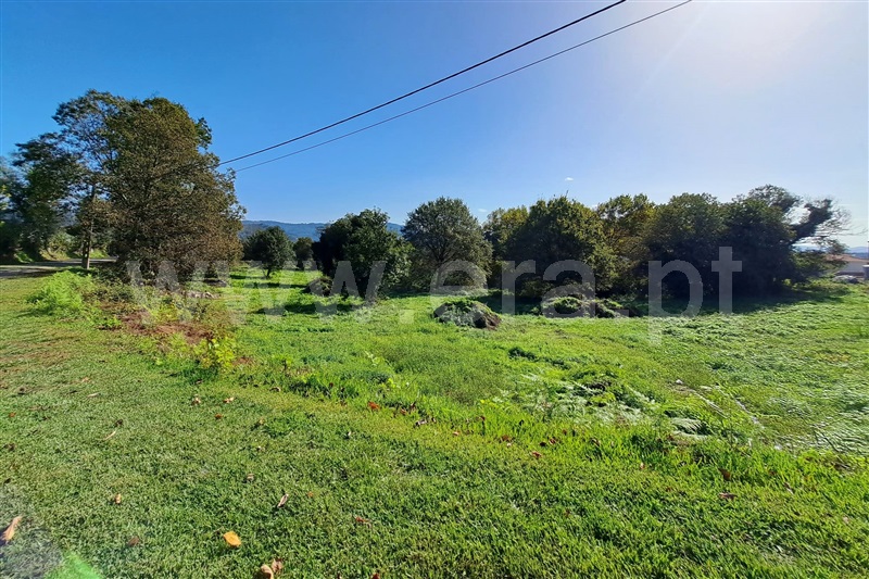Lote / Vila Verde, Vila Verde