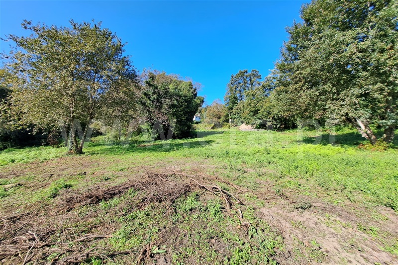 Lote  Vila Verde, Vila Verde - 1441973 - 7
