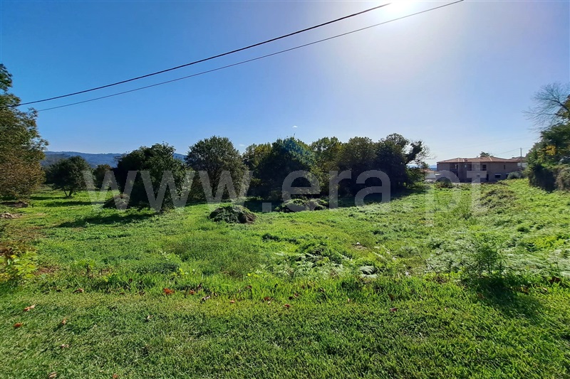Lote / Vila Verde, Vila Verde