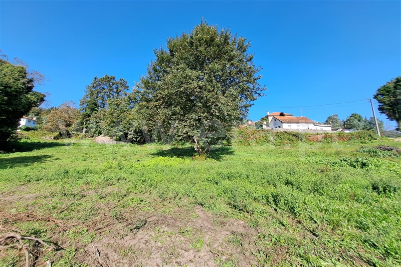 Lote  Vila Verde, Vila Verde - 1443831 - 6