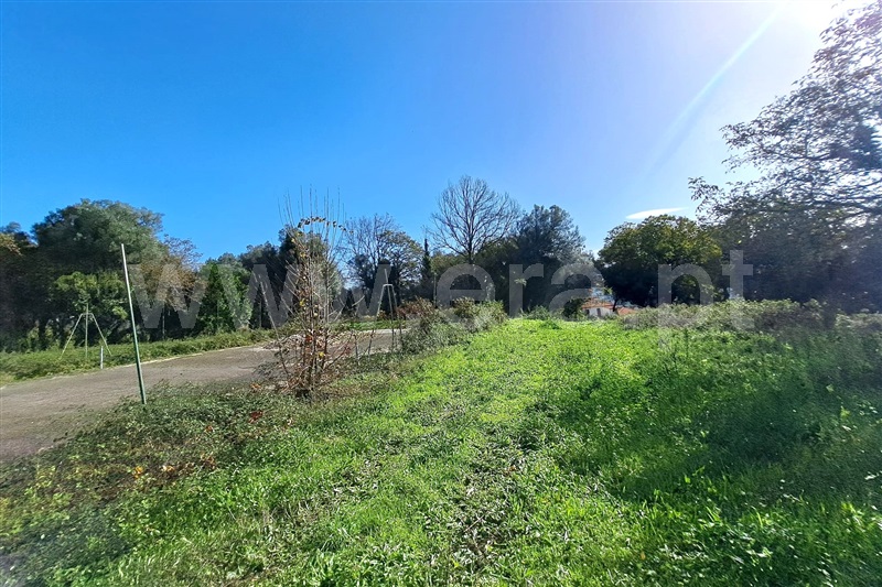 Lote  Vila Verde, Vila Verde - 1443831 - 7