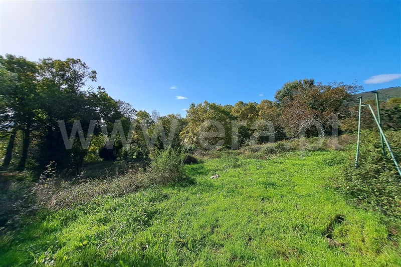 Lote  Vila Verde, Vila Verde - 1443831 - 8