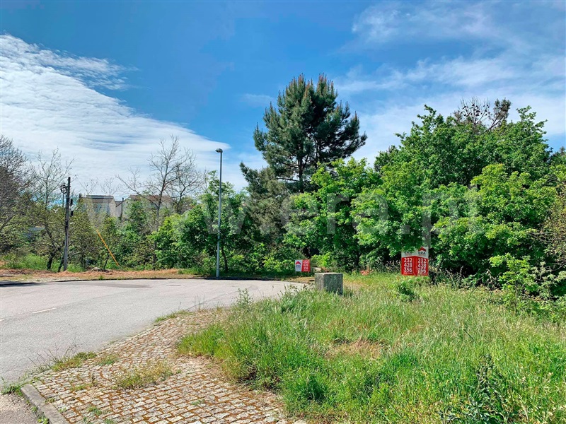 Lote / Viseu, Mundão