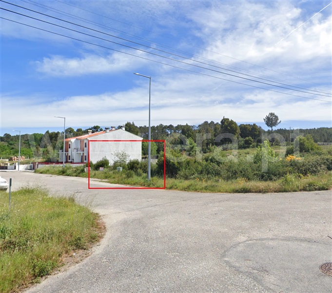 Lote / Viseu, Viseu