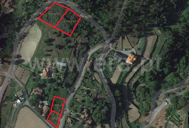 Lote  Vouzela, Vouzela - 1421132 - 1