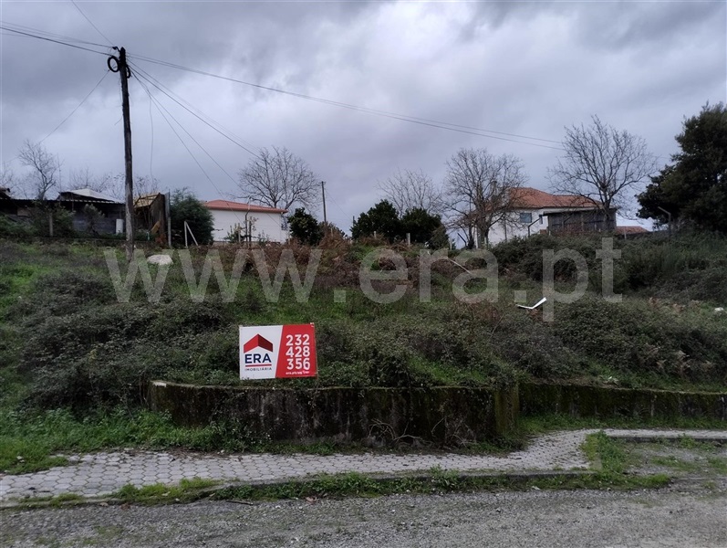 Lote / Vouzela, Vouzela e Paços de Vilharigues