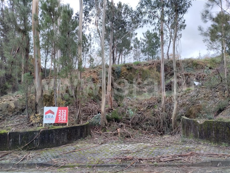 Lote  Vouzela, Vouzela - 1421132 - 4