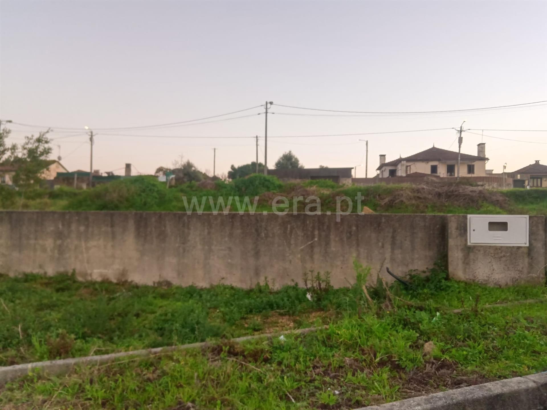 Land for sale in Albergaria-a-Velha, Portugal — €220,000