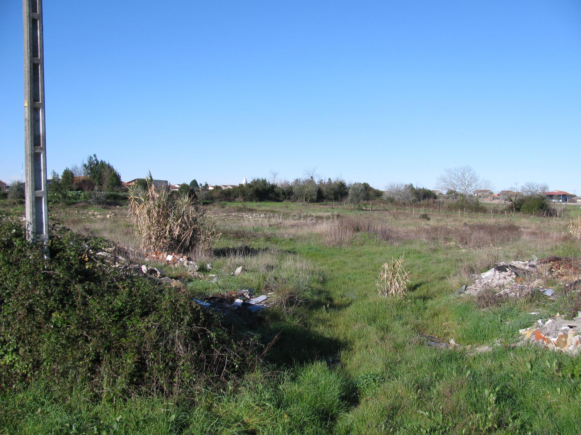 Land for sale in Cantanhede, Portugal — €160,000