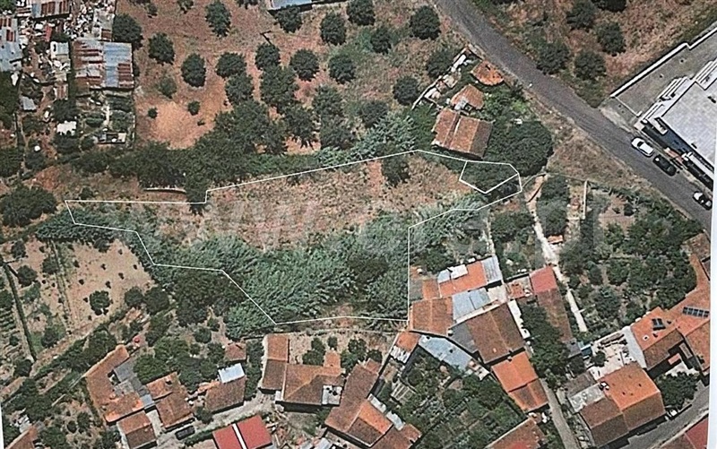 Loteamento / Mealhada, Pampilhosa