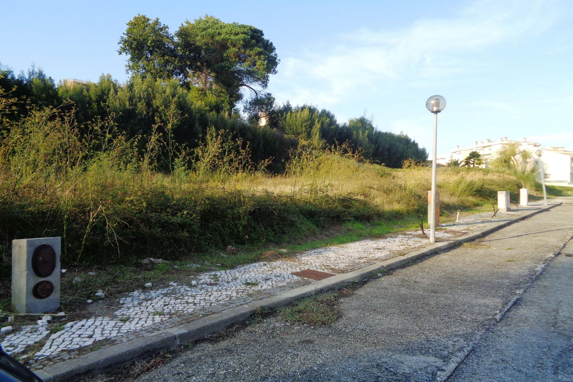 Land for sale in Oliveira de Azeméis, Portugal — €87,500