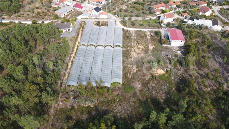 Loteamento  Ourém, Caxarias - 1209199 - 2