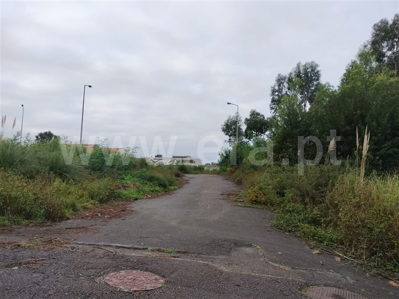 Loteamento  Santa Maria da Feira, Mozelos - 1452421 - 4