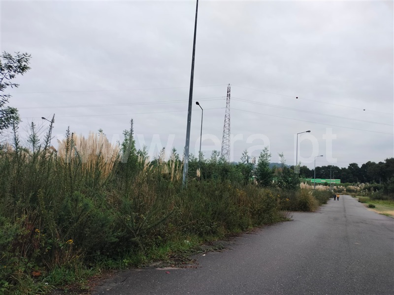 Loteamento  Santa Maria da Feira, Mozelos - 1452421 - 8