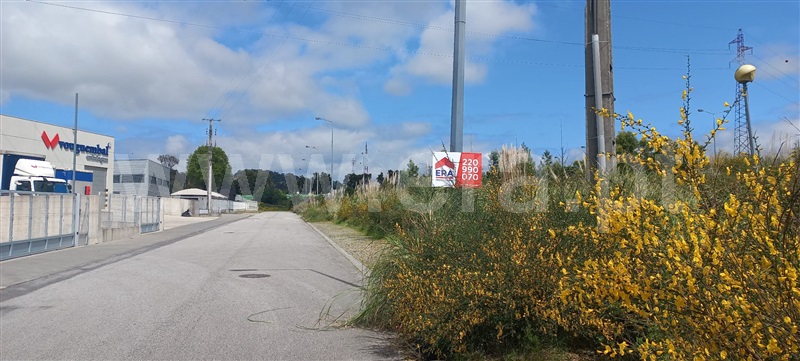 Loteamento  Santa Maria da Feira, Mozelos - 1452421 - 19