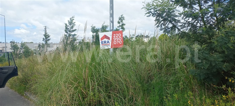 Loteamento  Santa Maria da Feira, Mozelos - 1452421 - 20