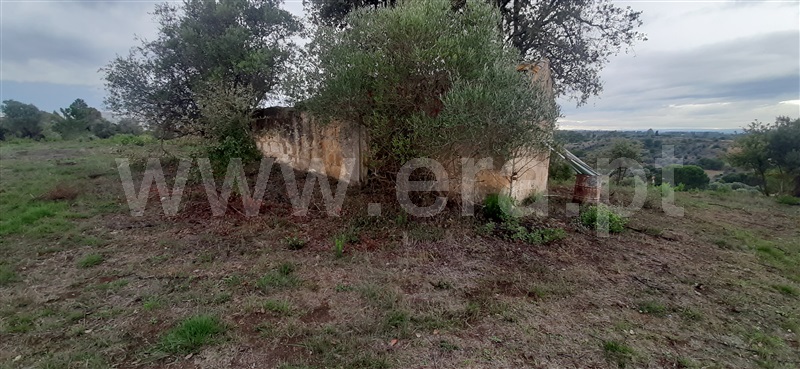 Loteamento  Torres Novas, Brogueira, Parceiros de Igreja e Alcorochel - 1137419 - 3