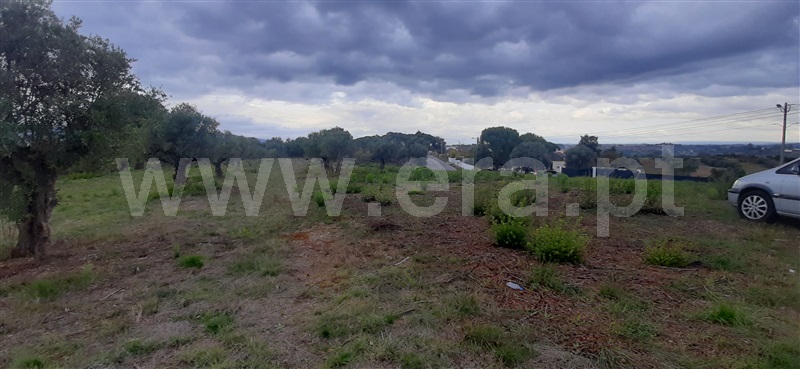 Loteamento  Torres Novas, Brogueira, Parceiros de Igreja e Alcorochel - 1137419 - 4