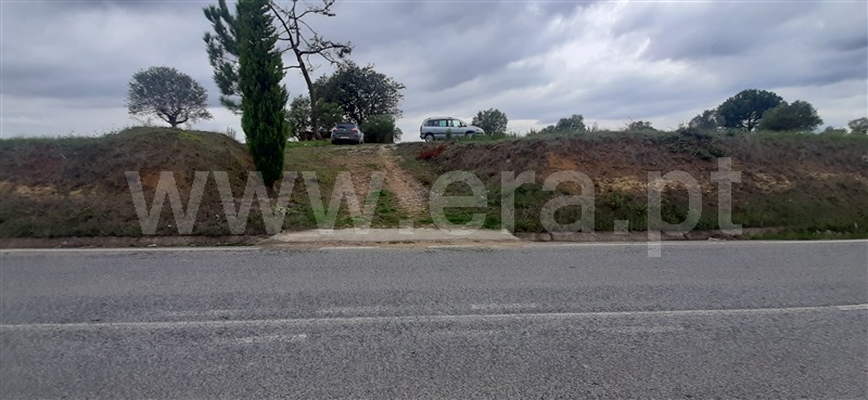 Loteamento  Torres Novas, Brogueira, Parceiros de Igreja e Alcorochel - 1137419 - 5