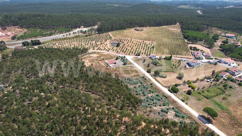 Loteamento  Torres Vedras, Outeiro da Cabeça - 1496785 - 5