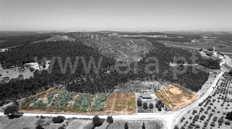Loteamento  com Aprovado Torres Vedras, Outeiro da Cabeça - 1496785 - 7