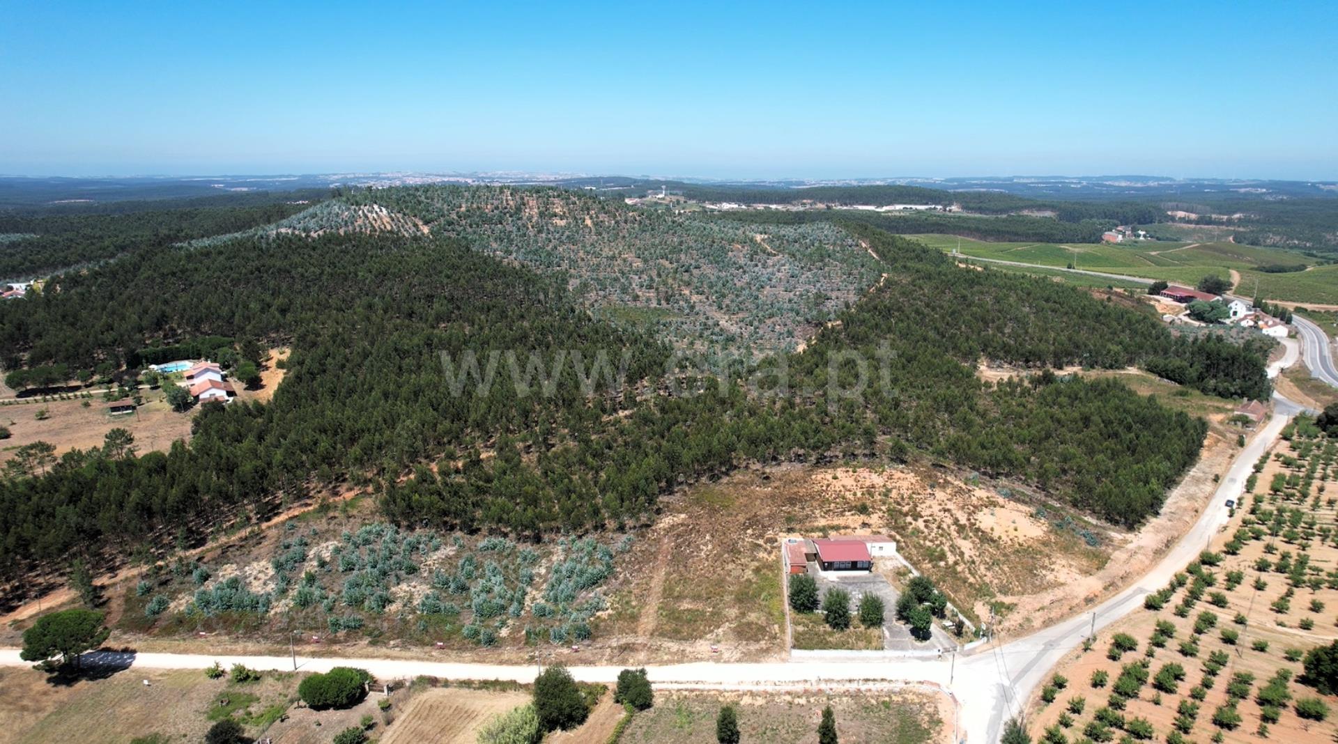 Land for sale in Torres Vedras, Portugal — €510,000
