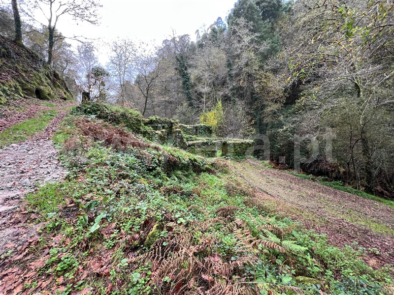 Moinho / Arcos de Valdevez, Prozelo