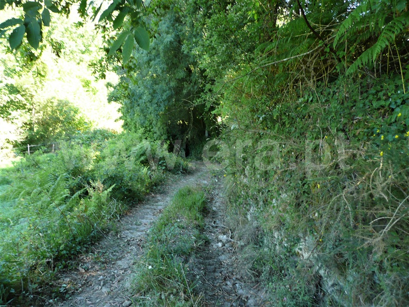 Moinho  Ponte de Lima, Barrio - 1114816 - 8