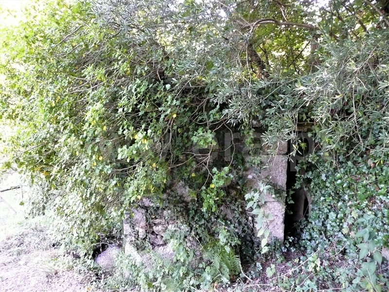 Moinho  Ponte de Lima, Barrio - 1114816 - 4