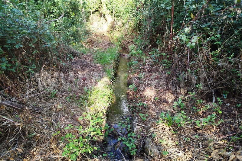 Moinho  Ponte de Lima, Barrio - 1114816 - 2