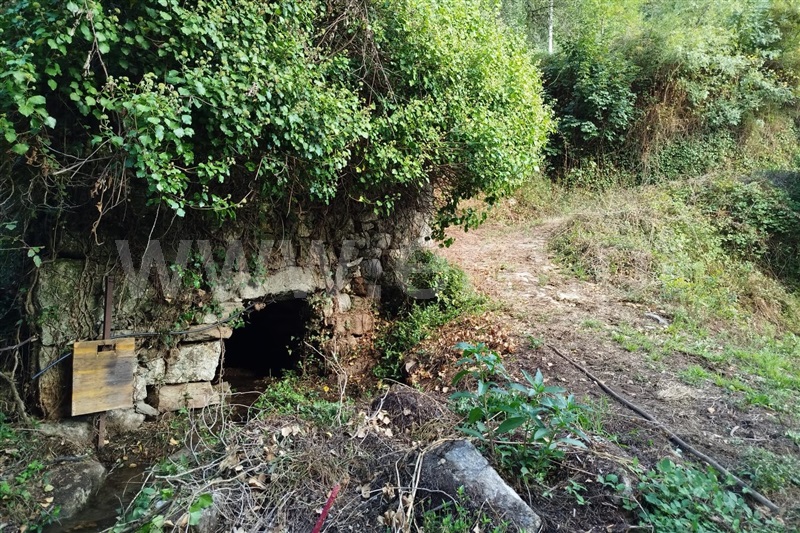 Moinho / Ponte de Lima, Barrio