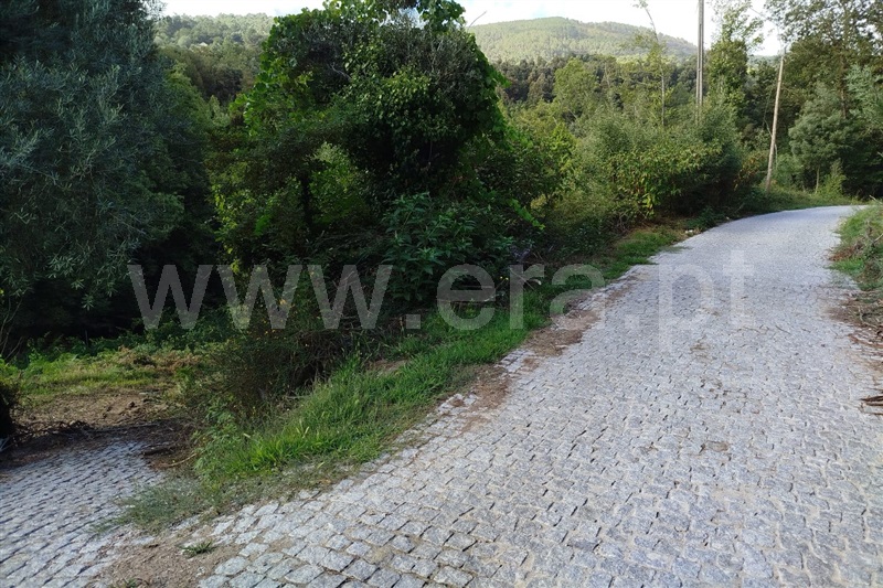 Moinho  Ponte de Lima, Barrio - 1114816 - 4