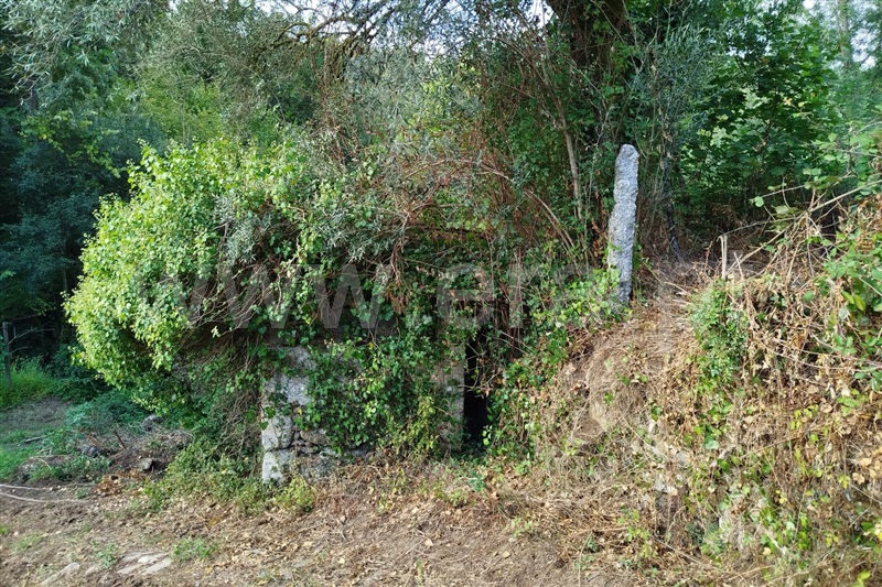 Moinho  Ponte de Lima, Barrio - 1114816 - 5