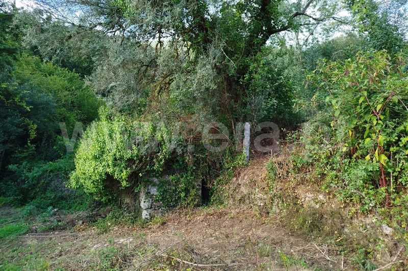 Moinho  Ponte de Lima, Barrio - 1114816 - 6