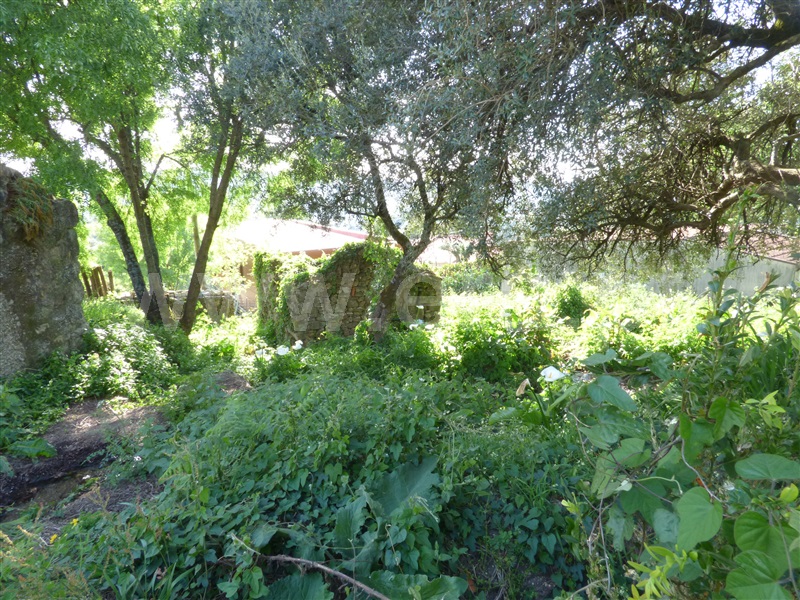 Moinho / Santo Tirso, Monte Córdova