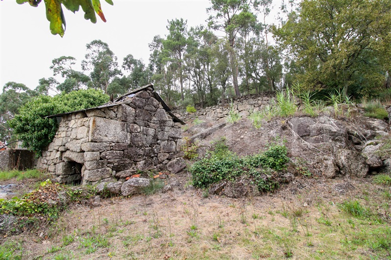 Moinho  Santo Tirso, Monte Córdova - 1315666 - 15