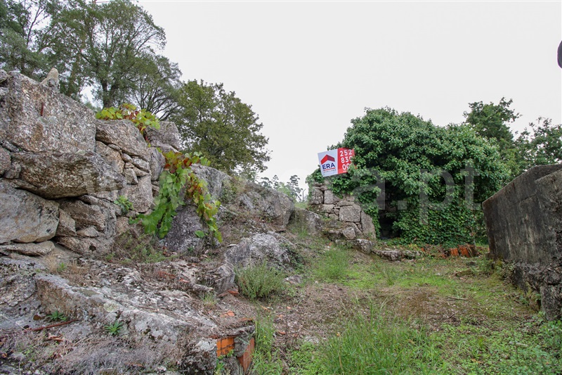 Moinho  Santo Tirso, Monte Córdova - 1315666 - 16